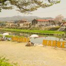 뚝방마켓 이미지