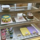 달베어 케이크 이미지