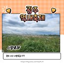 영산강서창들녘억새길 | 광주억새축제 서창축제 가는길 주차장 영산강 산책길