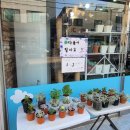 멍멍이랑 사랑하기 이미지