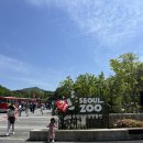 카페융가비 | 과천 서울대공원 동물원 아이랑 사자 뷰 한눈에 즐기는 카페 융가비