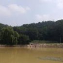 단구디앤씨 네이버블로그