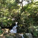 (주)대성해외관광 이미지