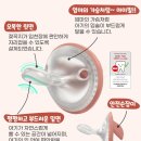 베스트필치과기공소 | 대한 소아치과학회인증 쪽쪽이 누크 마미필 노리개젖꼭지