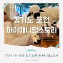 귀여운 아기동물 천국 마이애니멀스토리 포천 가볼만한곳 추천