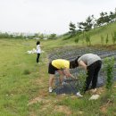 송호목장 이미지