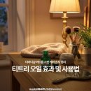 3019 | 티트리 오일 효과 및 사용법, 더바디샵 여드름 스팟 케어 순서 정리