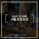 데이지엘