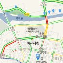 은행나무 주유소 이미지