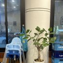 분당-276 | 분당맛집 바름 수내역맛집 동태탕 솔직후기, 수내동맛집 분당점심 맛집 추천