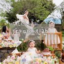 너무 만족스러웠던 감성 가득한 돌잔치 제주돌스냅 - 다미사진관