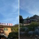 해변의 꿈 이미지