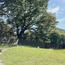 놀이터 반려견 미용실 이미지