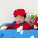 베니실제 이미지