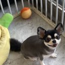 살롱드베베