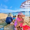 석전동177 | 월간주주 :: 2022년 5월 이야기