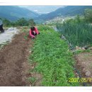 원식농장 이미지