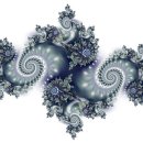 생명의 그물 1 이미지