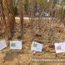 육림화원 - 도봉구 도봉로156길 6 | 육림화원