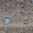 다비숲공원 티스토리