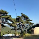 아소팜 | 함안 단체 모임 장소, 만족도 높았던 소나무마을 후기