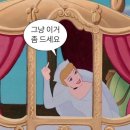 퍼리테일 | 2024-스포덤5
