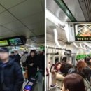서울러 이미지