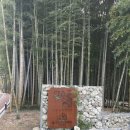 풍자농원 이미지