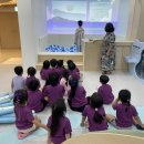 🏝️으뜸이들의 제주바다보물섬 견학🏝️#2 이미지