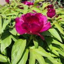 선원2길 이미지