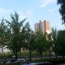 오금1로 이미지