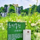 동천수변생태공원 이미지