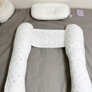 임산부 필수템 해피테일즈 바디필로우 내돈내산 사용후기
