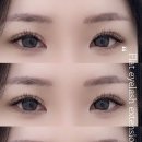 블루미니즈 네이버블로그