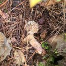 삼기면 의암리 마을회관 | 곡성 최악산 들머리 정보