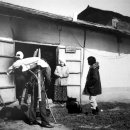 풍년방앗간 이미지