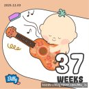 아인안경 | 35세 임산부 아인병원 35주 막달검사 제왕절개 솔직 후기