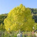 에버오렌지펜션 이미지