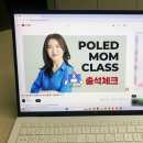 맘통해 | 폴레드 맘클래스 2기, 온라인 산모교실 참석 후기 (w. 둘라 로지아)