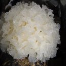 은이농장 이미지