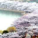 좋은생각 이미지