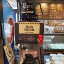 뉴욕애견 이미지