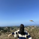 도연목장 이미지