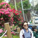 시곡공원 이미지