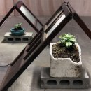 청주시립대청호미술관 이미지