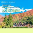 크로바관광여행사 이미지