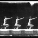 ACC 시네마 펀드 공식 시사회 이미지