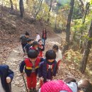 동심삐아제어린이집 이미지