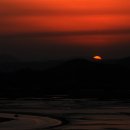 순천만 갈대밭 이미지