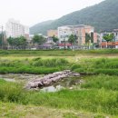 삼계천 이미지